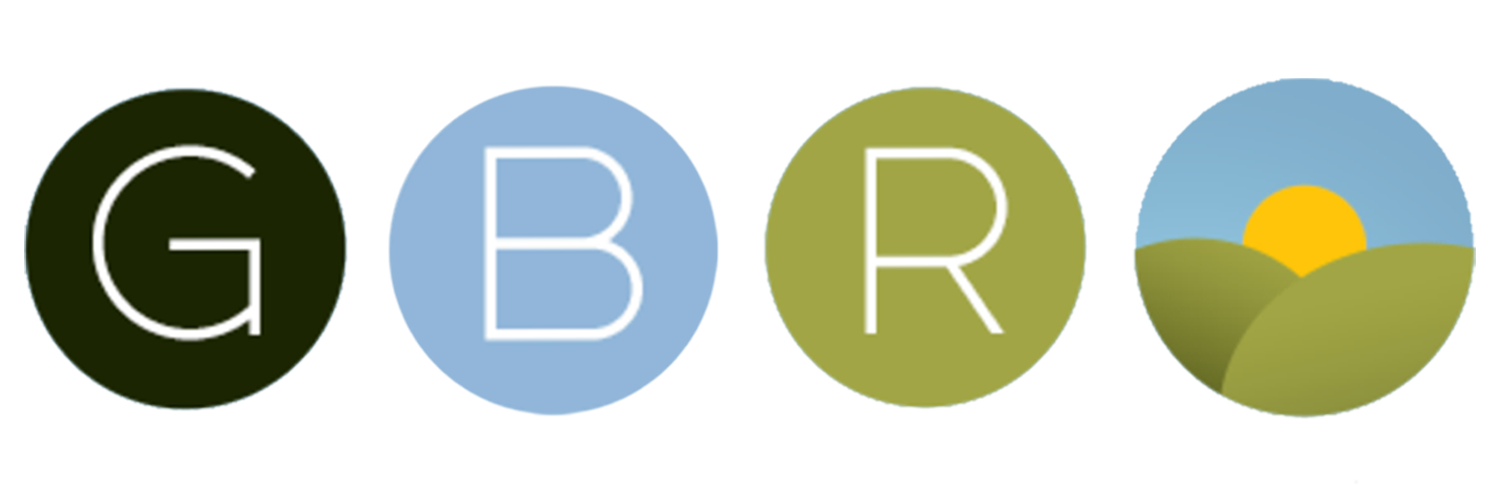 GoBlueRidge Logo